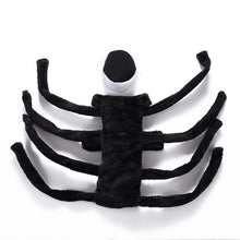 Halloween Spider Dog Costume